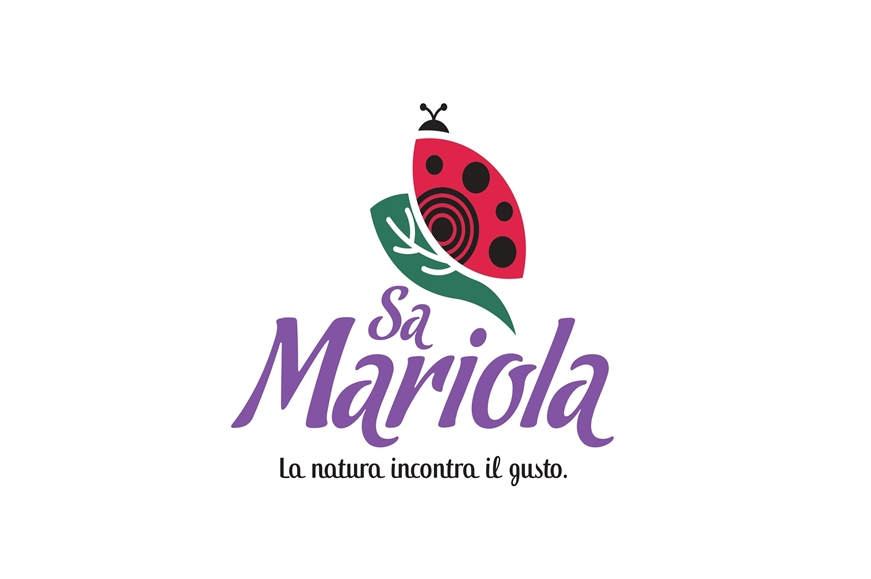 vendor-logo